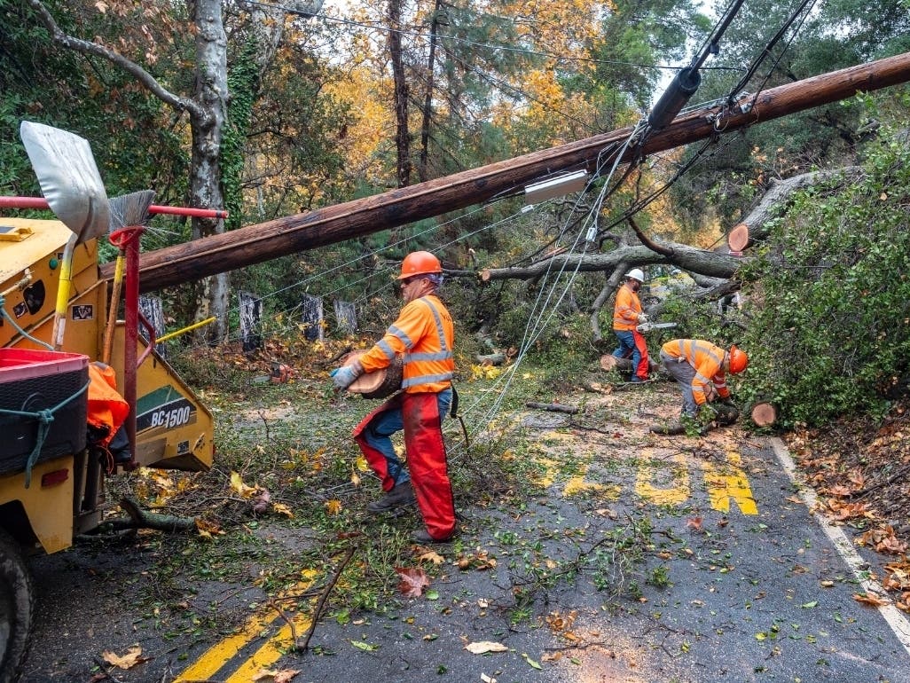 Crews work at cutting up a large tree that fell across Silverado Canyon Road in Silverado, located in eastern Orange County, after an overnight storm that brought heavy rain and wind, knocking over a utility pole as it fell.  