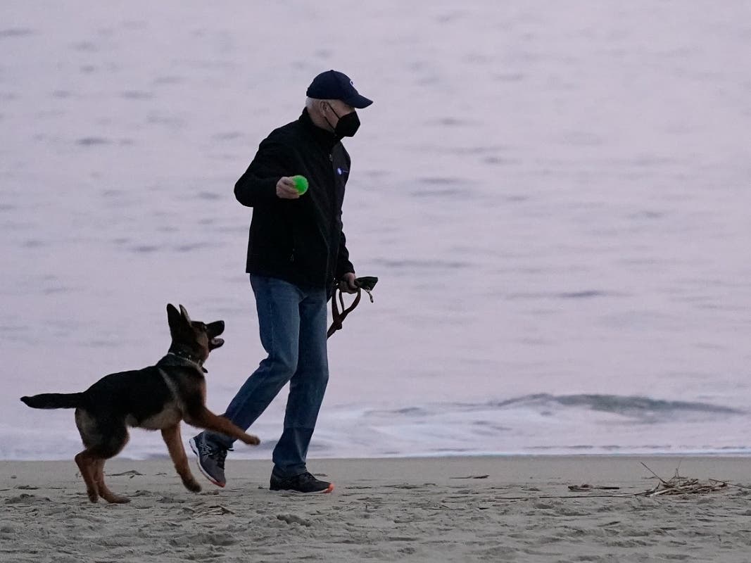 Photos: Biden's New German Shepherd Pup Is Aptly Named Commander