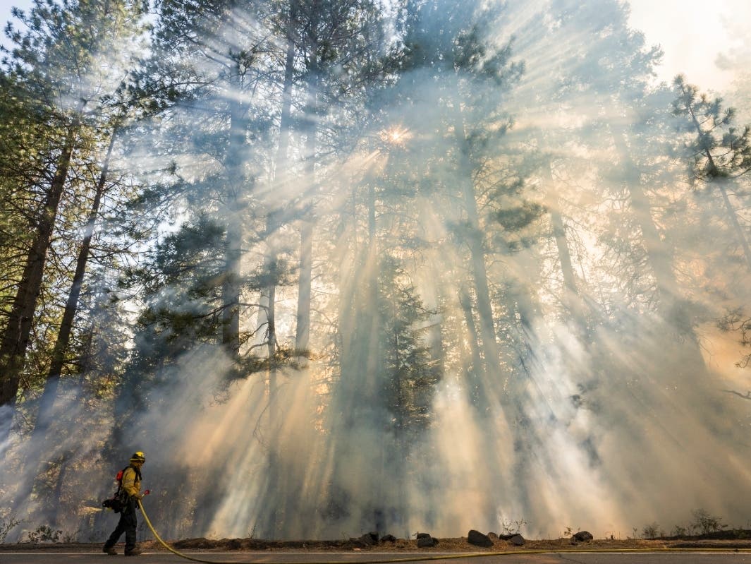 Crews battle wildfires across the US West and fight to hold containment lines A firefighter monitors a burn operation on Highway 32 to combat the Park Fire near Forest Ranch, Calif., Sunday, July 28, 2024.