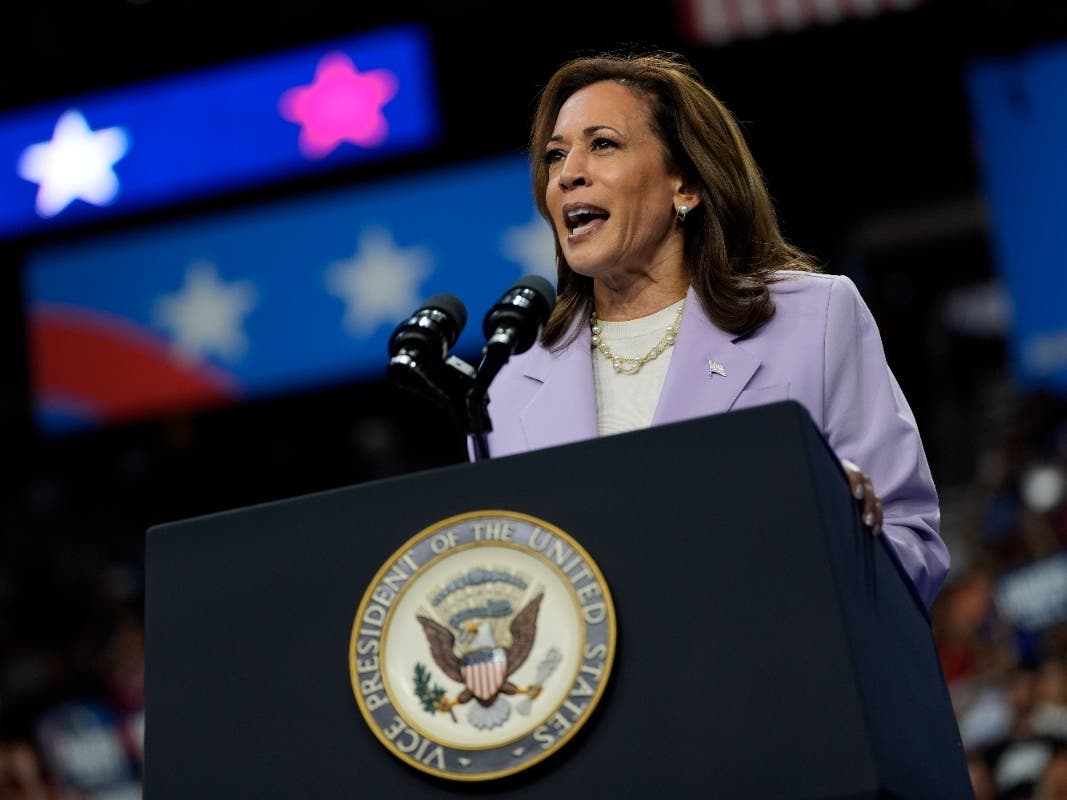 Harris cautiously rolls out policy, aiming to outmaneuver Trump and address 2020 liabilities Democratic presidential nominee Vice President Kamala Harris speaks at a campaign rally, Saturday, Aug. 10, 2024, in Las Vegas. 