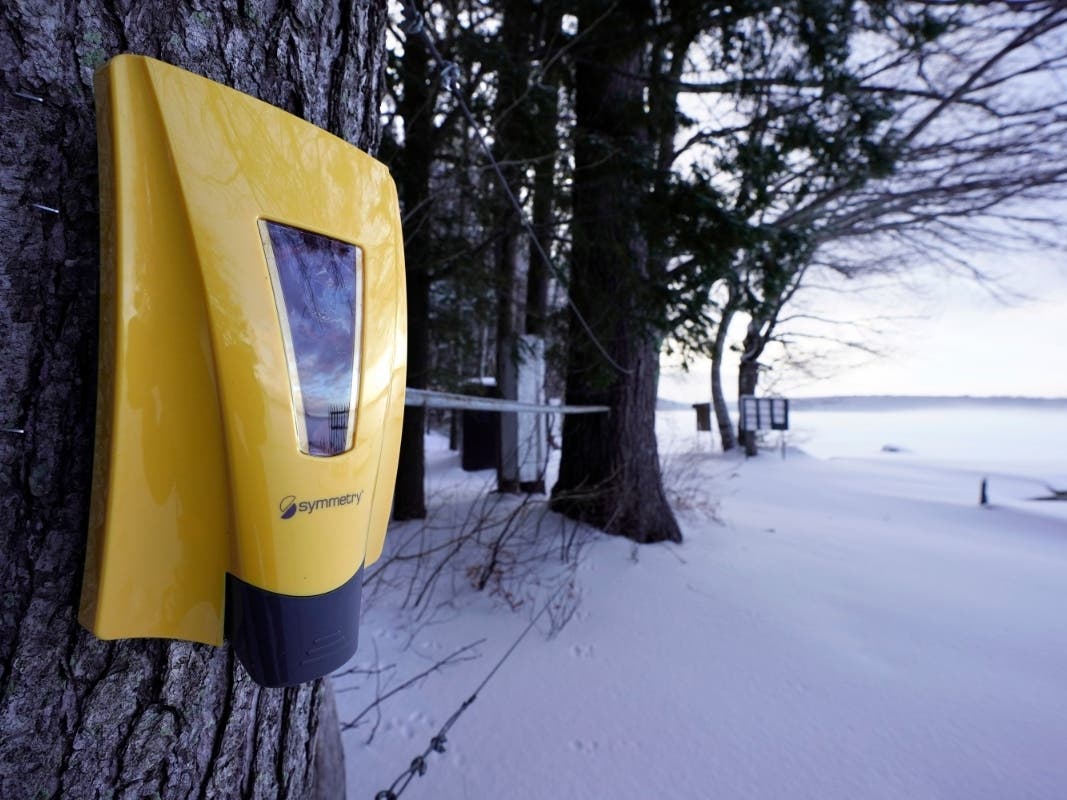 A hand sanitizer dispenser remains at Camp Fernwood in Maine. Camp directors across the country are feeling more confident about reopening this summer after a pandemic hiatus in 2020, but in some states they are still awaiting guidelines. 