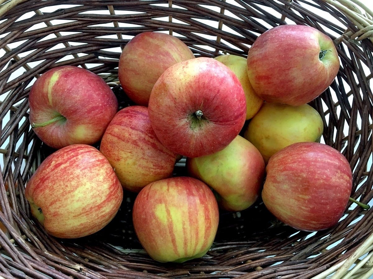 National Farmers Market Week at the Reston Farmers Market will celebrate the local producers that contribute to the community.