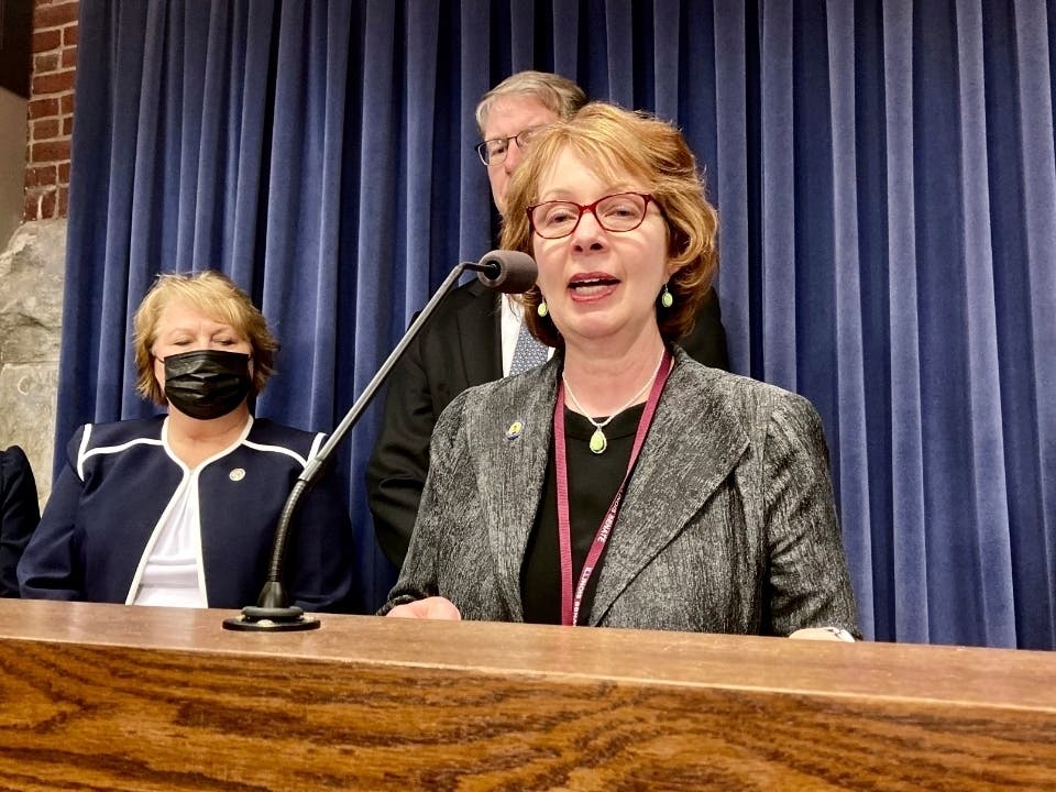 State Senator Ann Gillespie (D-Arlington Heights) has served in the Illinois General Assembly since 2019.