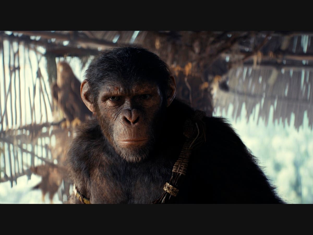 This image released by 20th Century Studios shows Noa, played by Owen Teague, in a scene from "Kingdom of the Planet of the Apes."