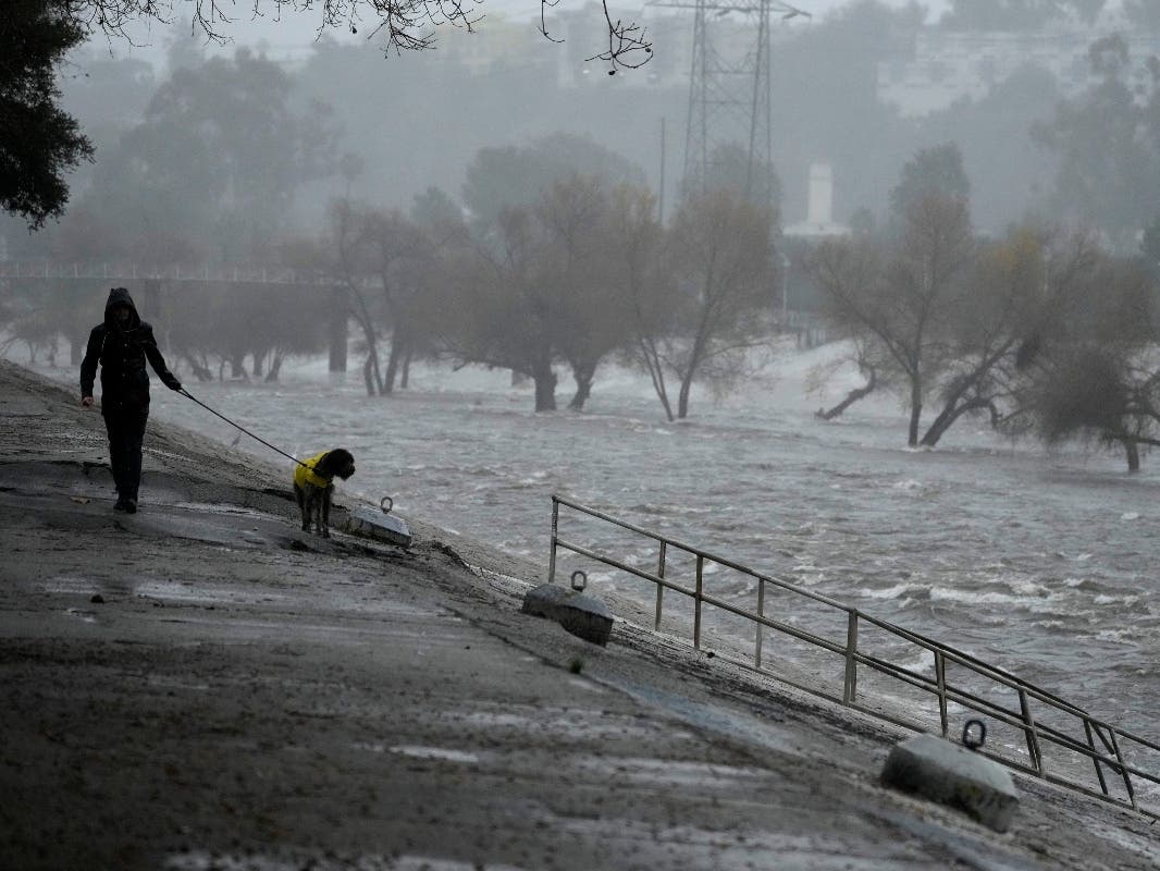 A man walks his dog on the edge of the Los Angeles River, carrying stormwater downstream Sunday, Feb. 4, 2024, in Los Angeles.