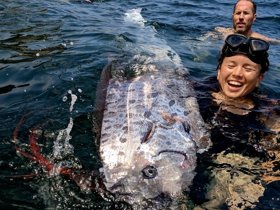 This image provided by The Scripps Institution of Oceanography shows a team of researchers and science-minded snorkelers working together to recover a dead oarfish from La Jolla Cove, Calif., Saturday, Aug. 10, 2024. 