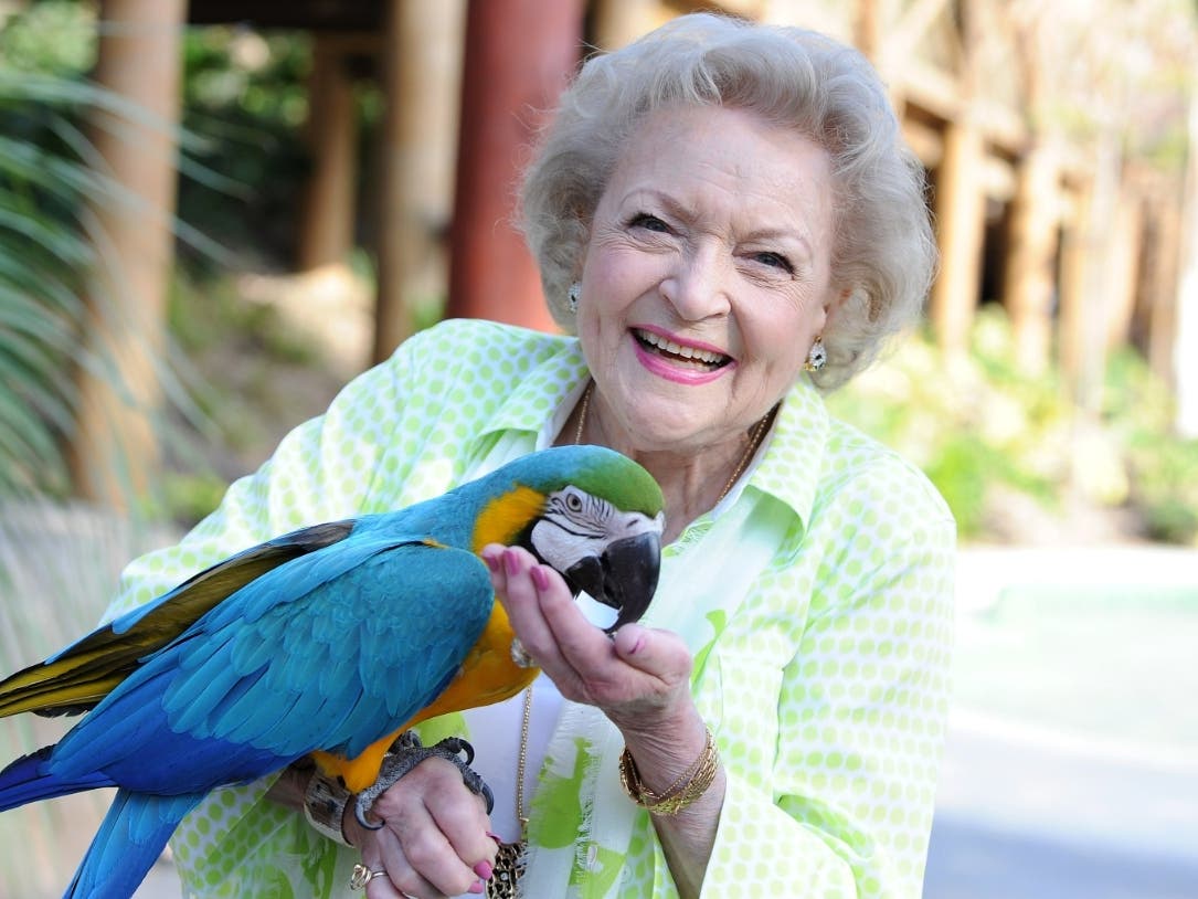 How To Help Ocean City Animal Shelters For Betty White's 100th