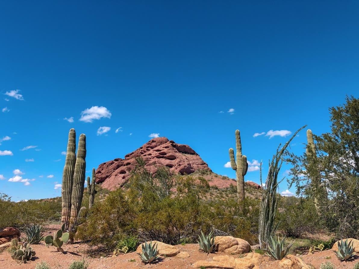 Scottsdale's 'House Of Doors' Hits The Market At $10M