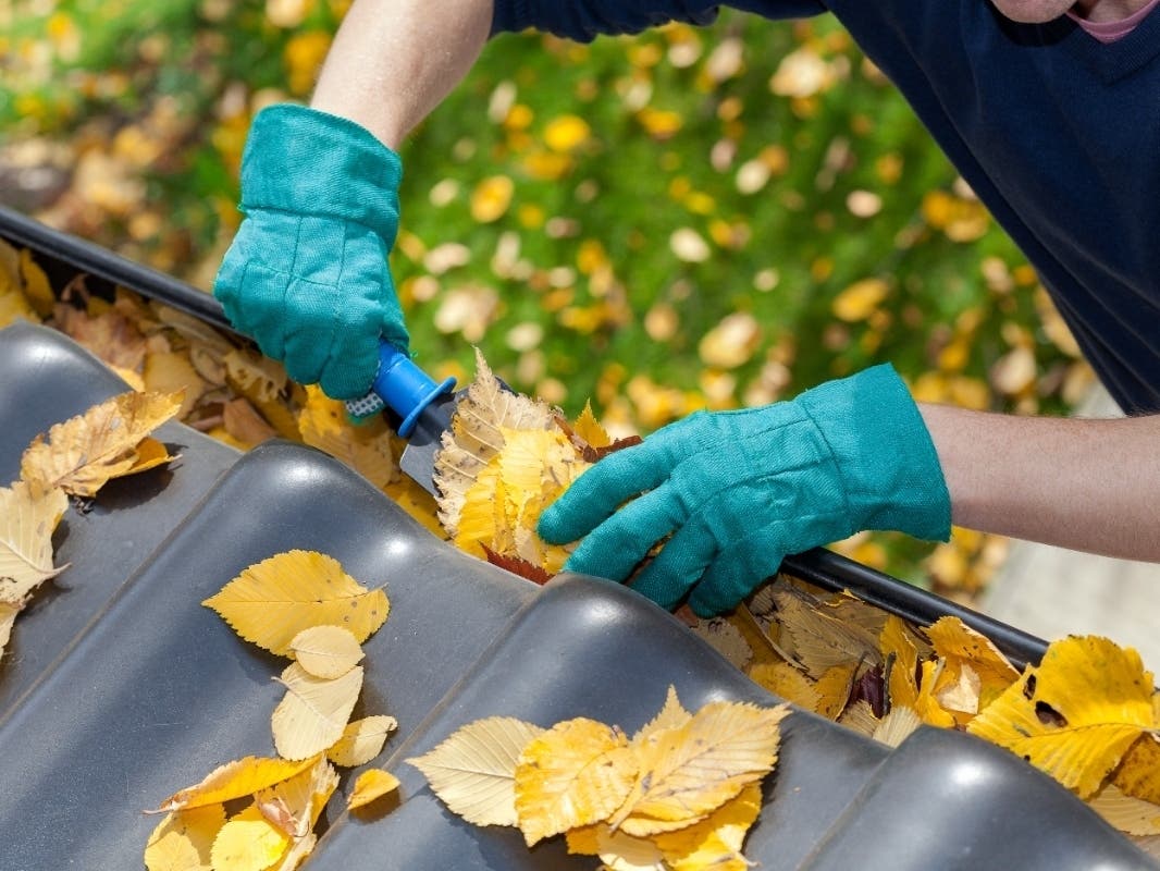 Fall is the perfect time of year to have your gutters cleaned and tackle other home maintenance tasks.