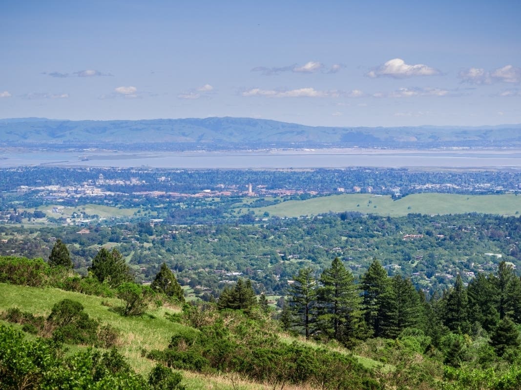 View from Windy Hill, looking toward Palo Alto and the Silicon Valley.