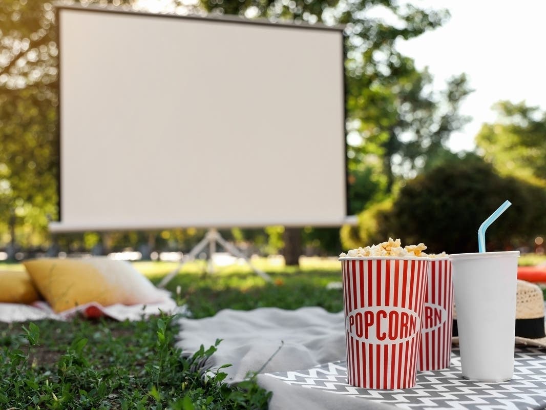 Montgomery Movie In The Park To Screen 'Migration'