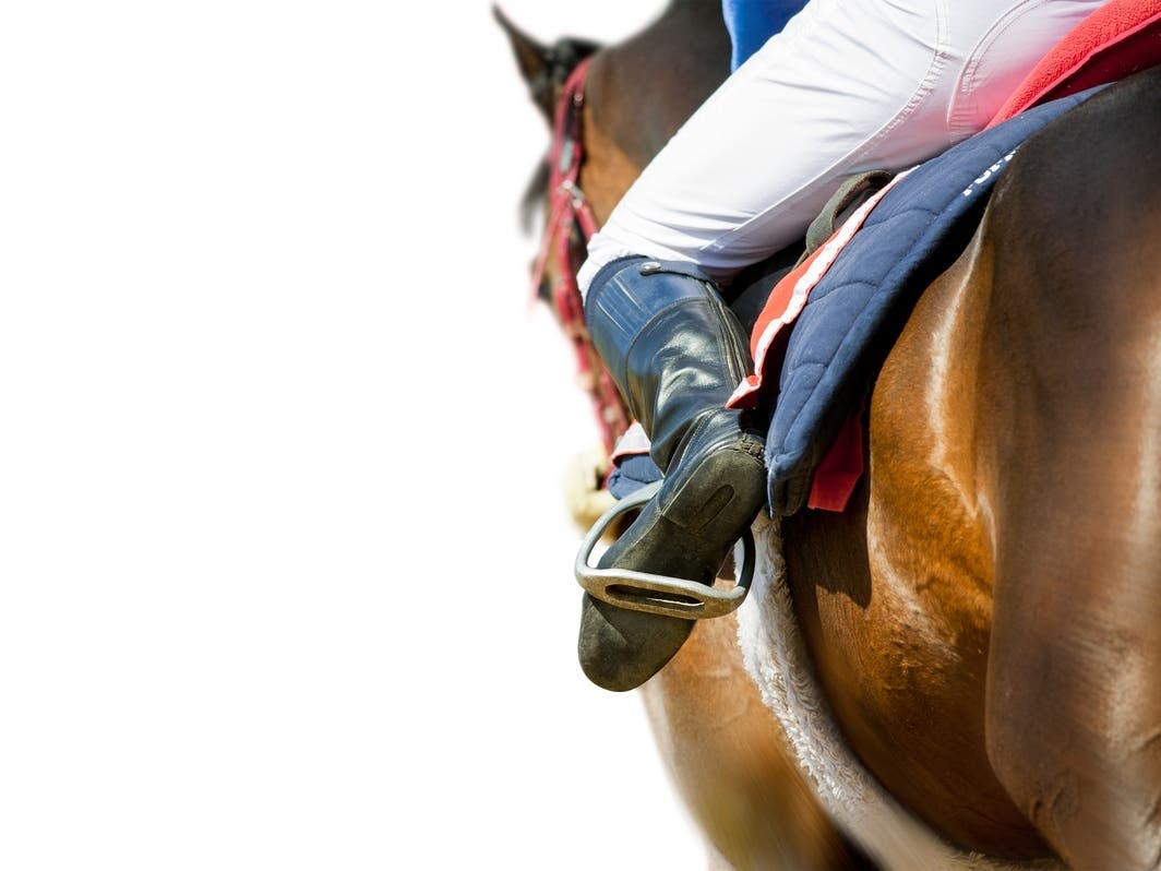 Third Racehorse Dies In Del Mar's Summer Meet