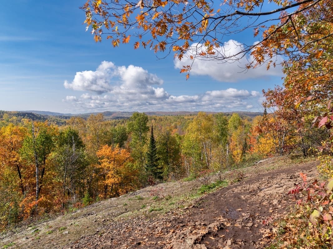  Voyageurs National Park, located in International Falls, is one of six underrated national parks, according to a new report.