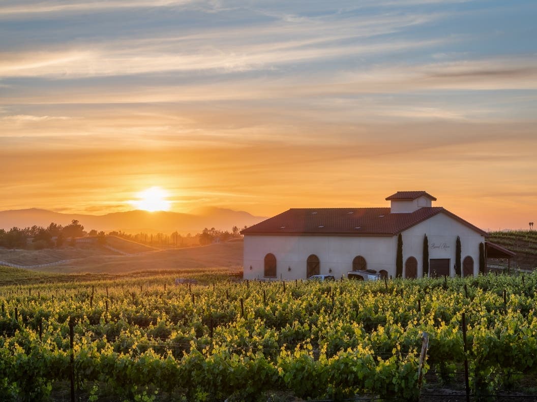 Looking for the most romantic, unspoiled places in Temecula to plan a proposal? Check out these top seven suggestions for popping the question.