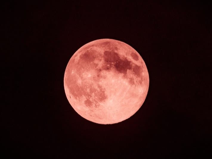 The "pink moon" of April peaks on Tueaday, but a guided walk will be held on Sunday in Shrewsbury.