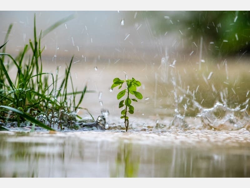 The National Weather Service issued a flood watch amid moderate to heavy rain for parts of the DC region.