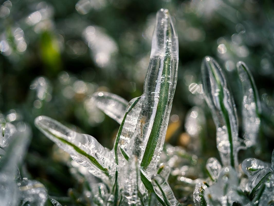 A frost advisory is in effect for much of Northern Virginia early Tuesday, according to the National Weather Service. It's the first frost advisory of the season.