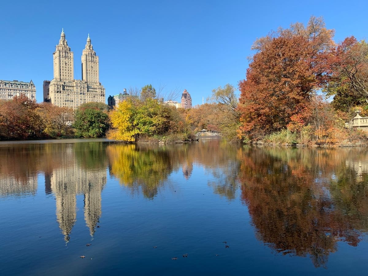 UWS Historic District Lost 1K Homes As Residents Combined Units: Study