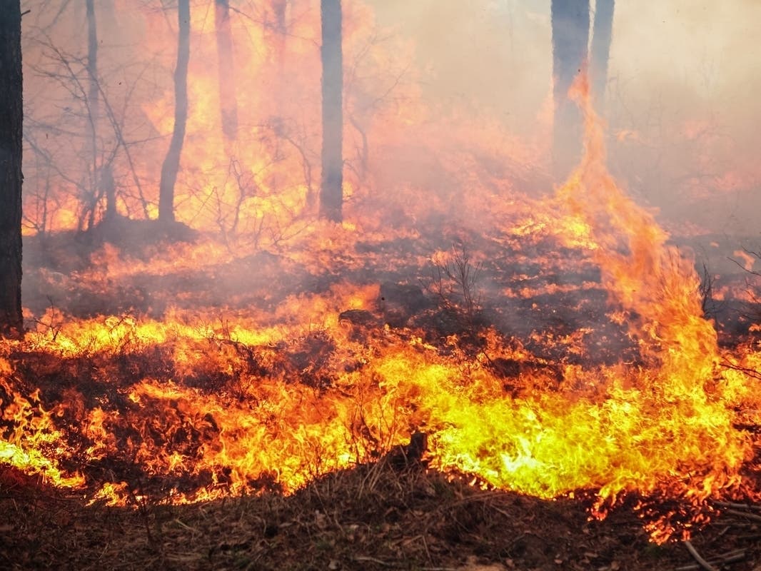 A large swath of Colorado braced Friday for "extremely critical fire conditions" in Denver, Castle Rock, Colorado Springs and more.