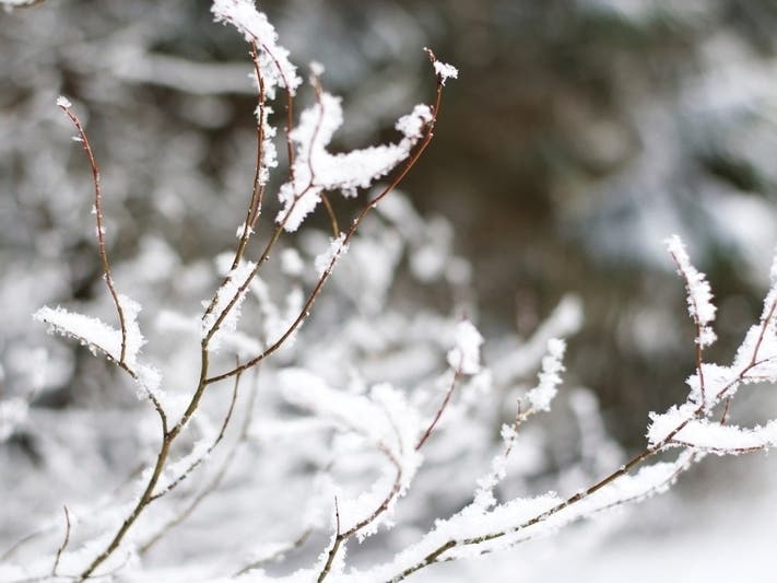 Blustery, Slick Conditions In Metro Detroit: Weekly Weather