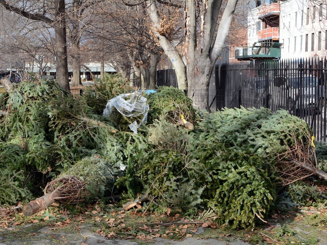 The Town of Ridgefield will be recycling Christmas trees for residents at no cost.