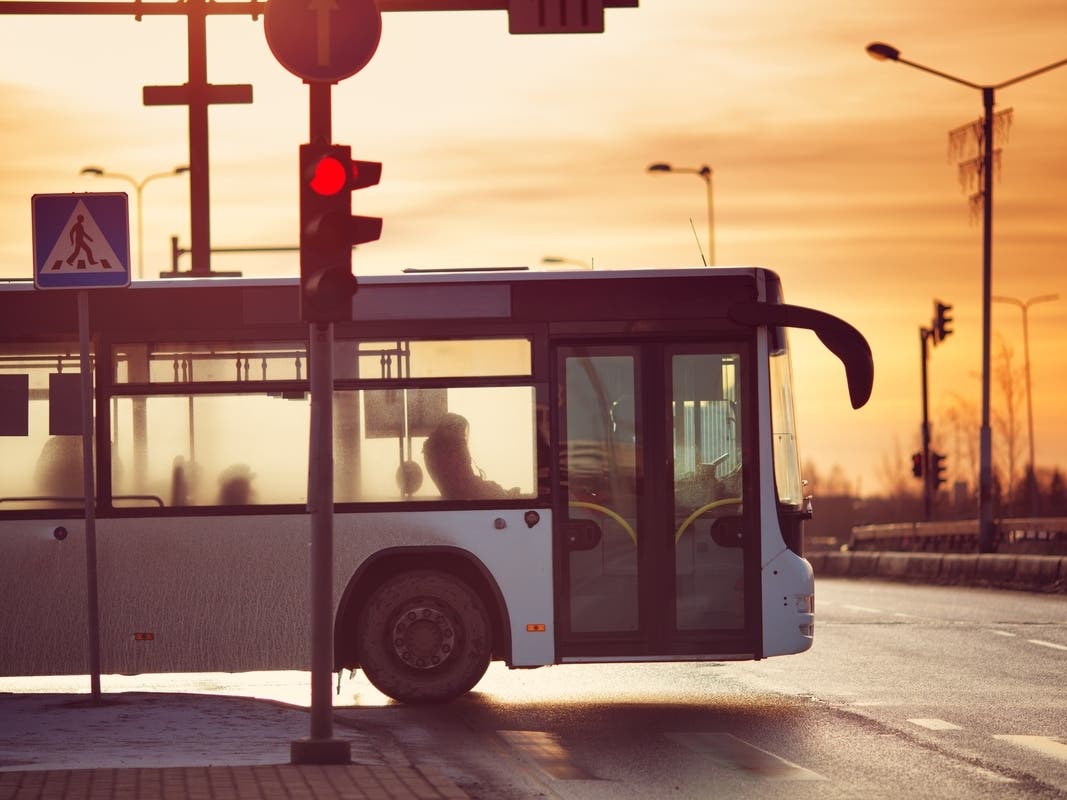 CTA President Dorval R. Carter Jr. said the program's goal is to "ensure everyone has convenient access to affordable and reliable public transit services."