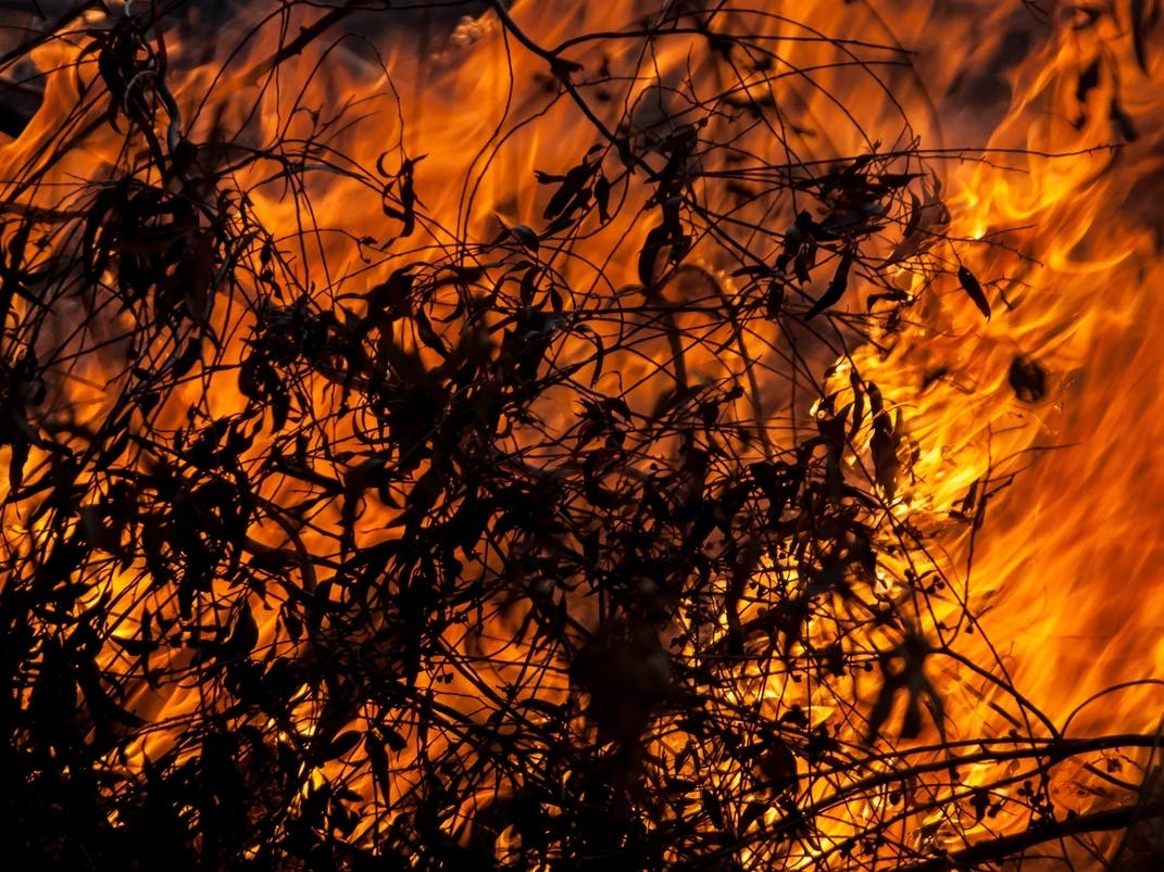 Flynn Fire Burns 50 Acres Near Livermore