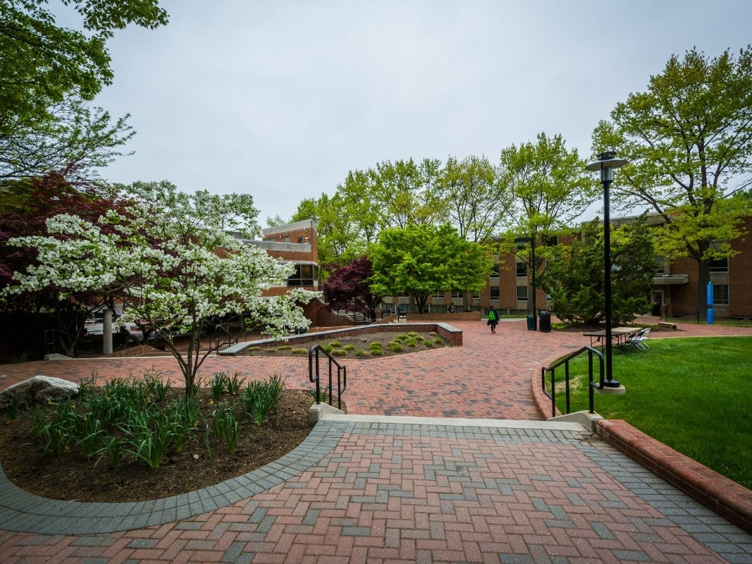 The American Civil Liberties Union Foundation of Maryland argued Monday that Towson University violated students' free speech rights by disciplining them for a pro-Palestine protest. The college is pictured above on a different day.