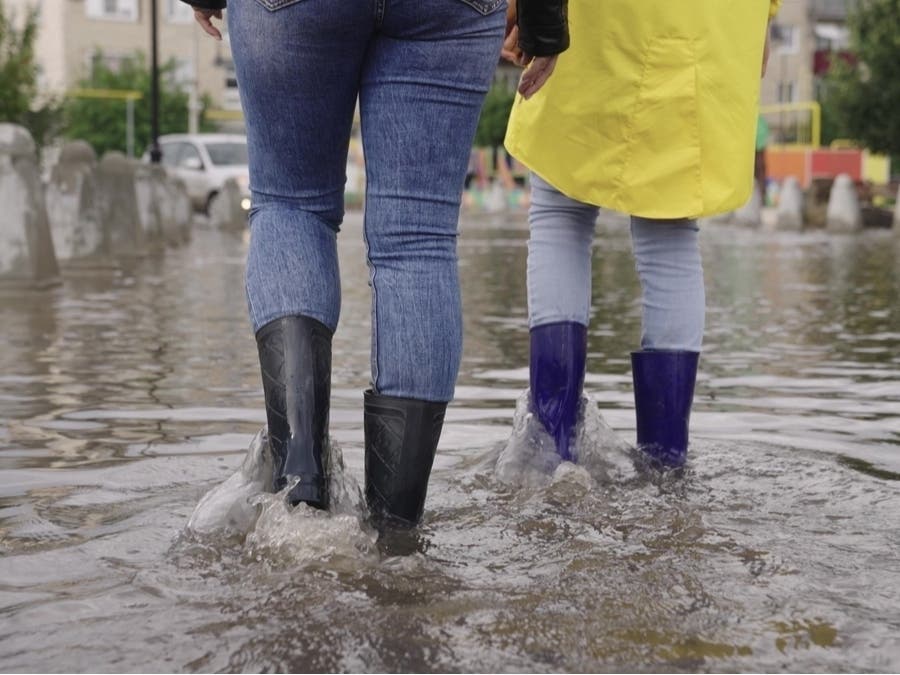 As Tropical Storm Debby moves along Florida's west coast, streets are flooding across Sarasota, officials said. 