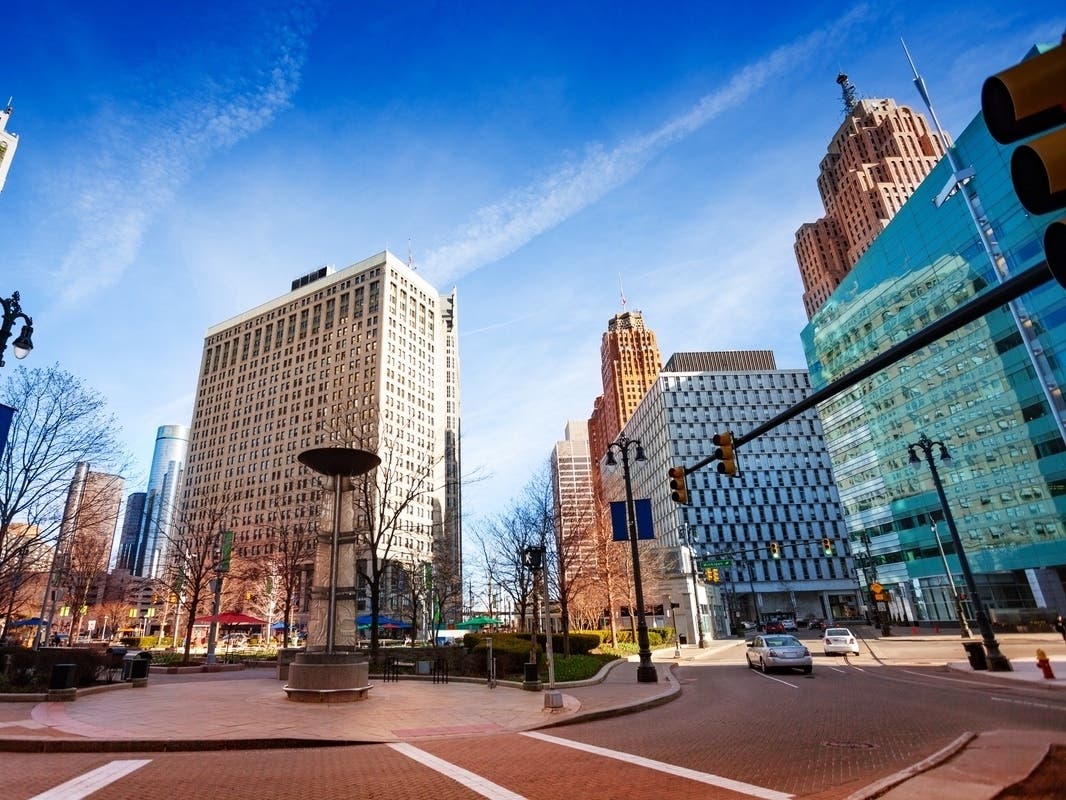 ​The project was put together by the City of Detroit, Detroit Parks Coalition and Connect 313. 