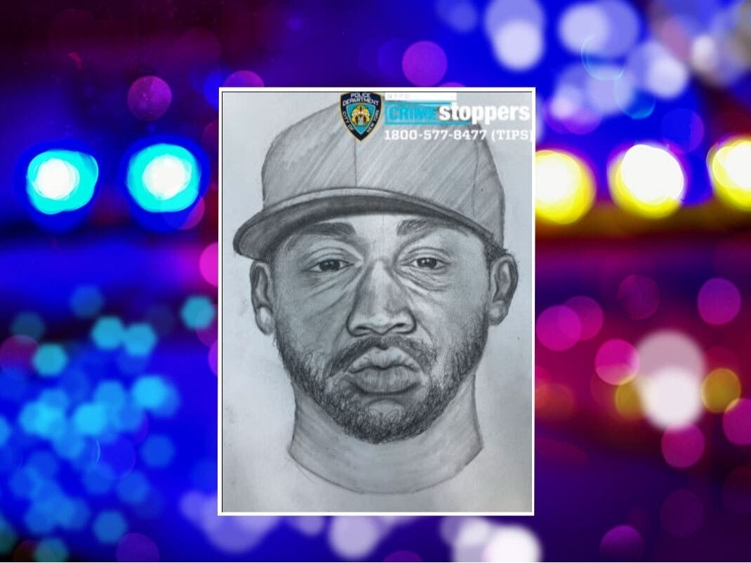 Police Sketch Shows Would-Be Rapist In Central Park Attack: NYPD