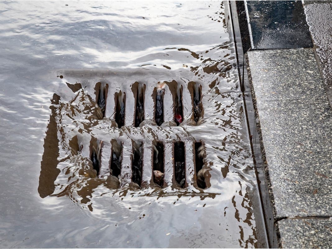 City crews have begun working to clear debris from over 20 storm drains in Hollywood as the rainy season approaches, according to Councilmember Nithya Raman​.