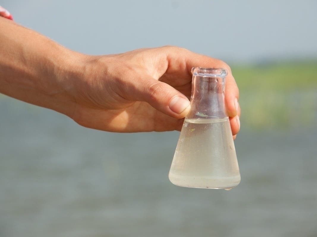 Health officials routinely test water at beaches up and down the coast to ensure bacteria levels meet state standards.