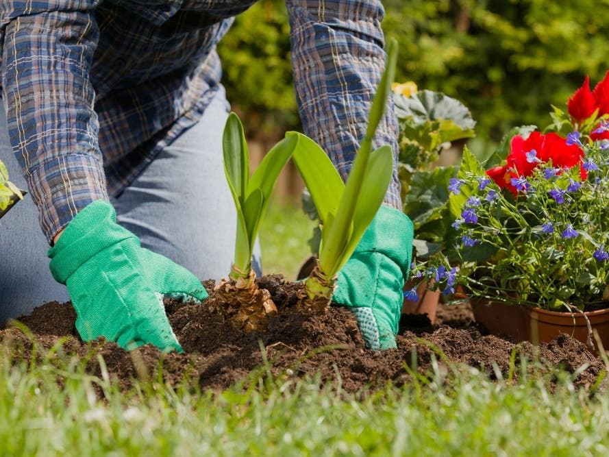 Navesink Garden Club Announces Plans For 2024-2025 Season