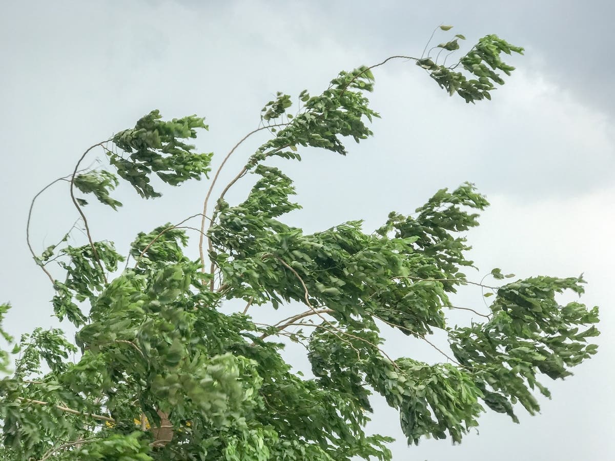 A high-wind warning is in effect Wednesday for several counties in Vermont's Champlain Valley.