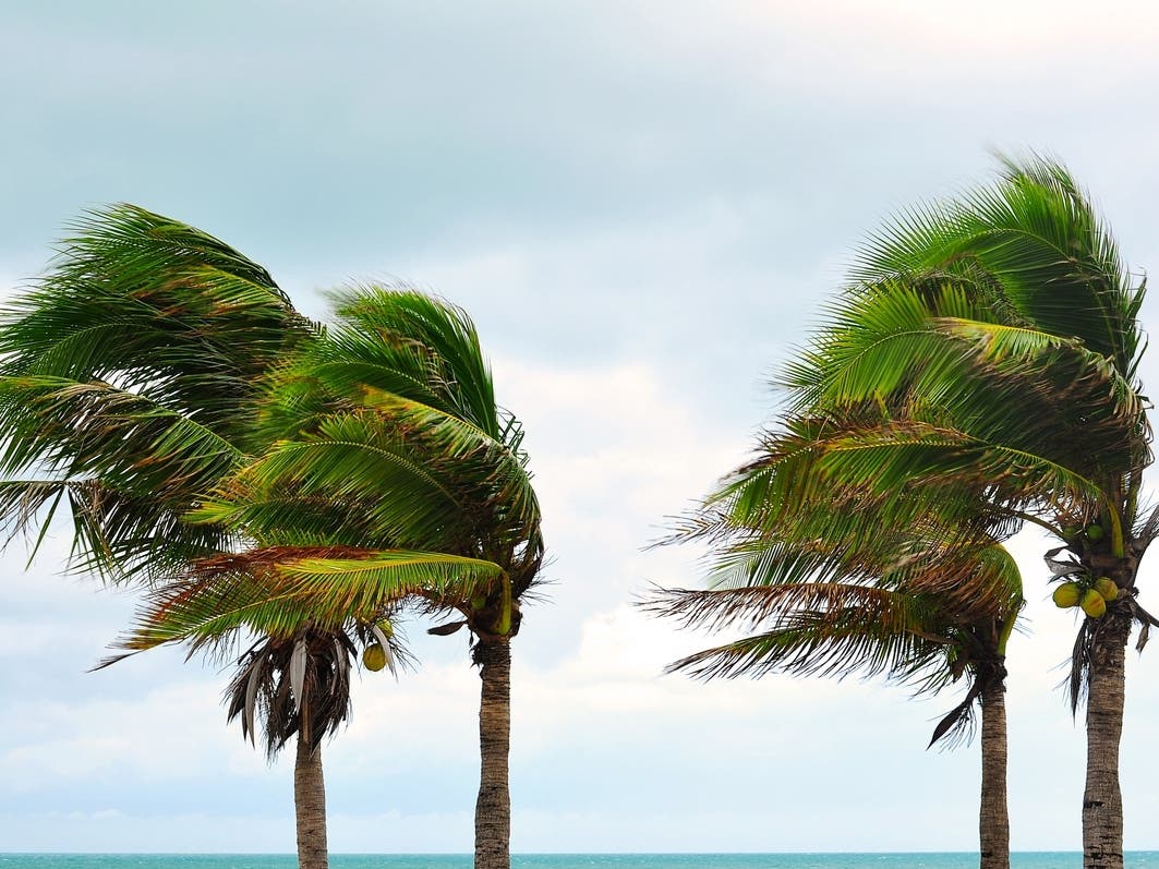 The Hurricane making its way up the coast of Baja California is expected to bring thunderstorms and a chance of rain Friday through Monday along with a significant drop in temperatures, according to the National Weather Service