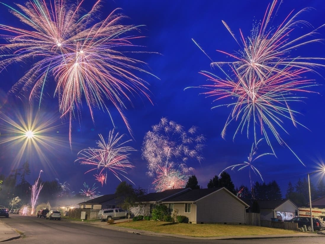 4th Of July Fireworks Etiquette: Vets With PTSD And Runaway Dogs