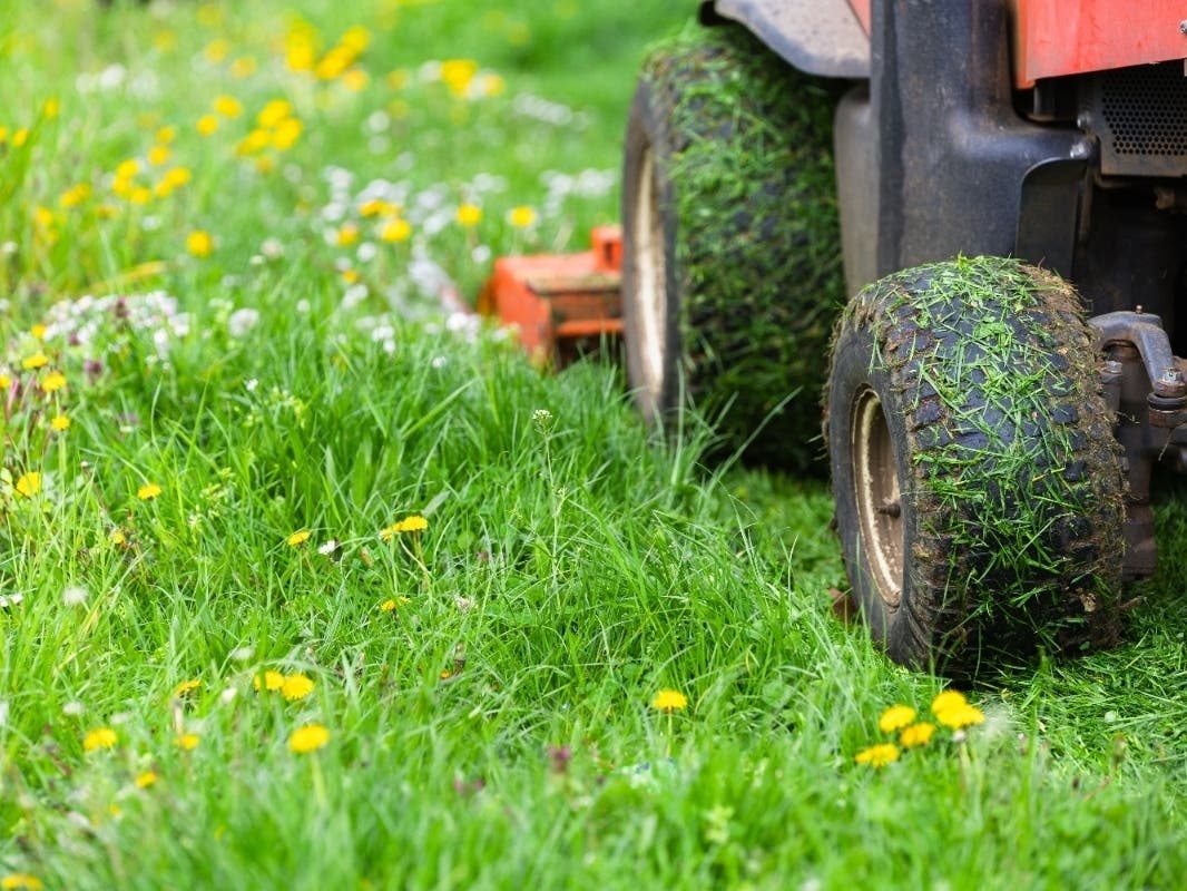 Get Off My Lawn, Boomer; Tidy, Close-Cut Lawns So 1950s [Block Talk]