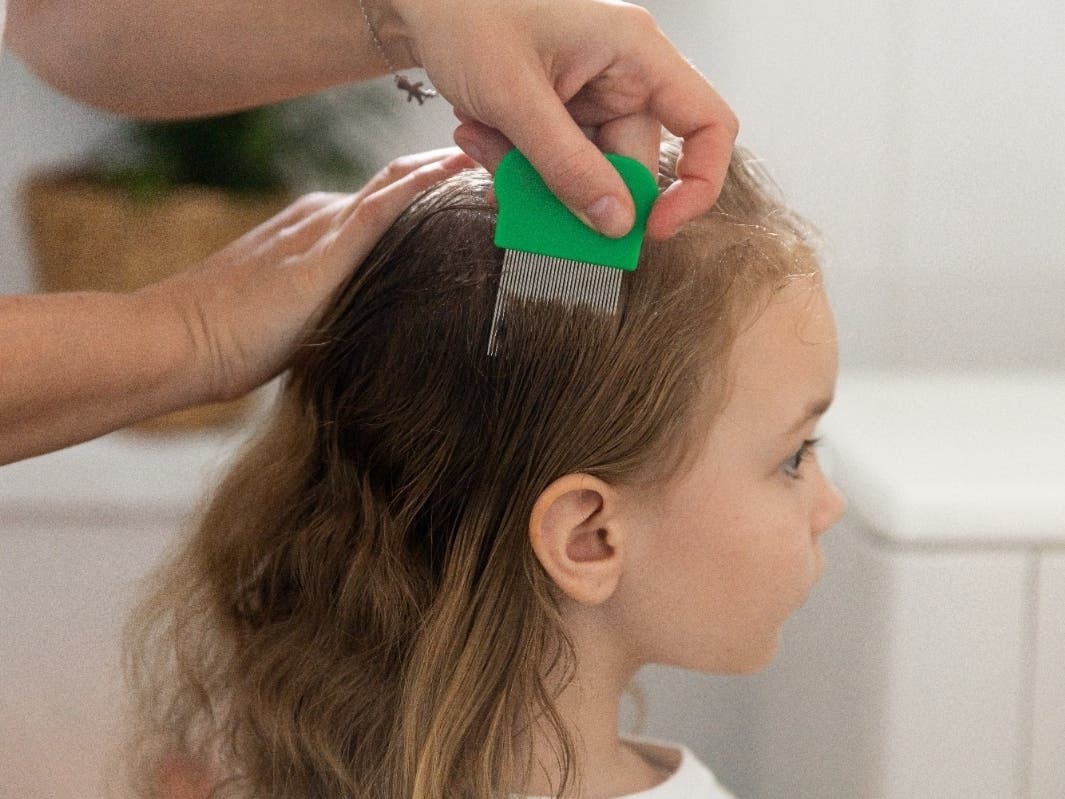 Back-To-School Head Lice Infestations: It’s War; How To Arm Yourself