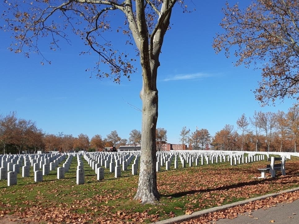 The state vets cemetery in Middletown. 