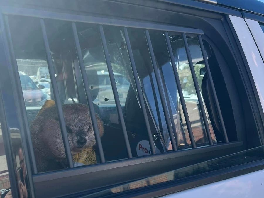 Connecticut State Groundhog Chuckles was served a warrant for a faulty prediction. 