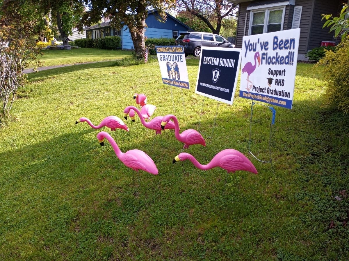 'Tis the season for grads and other charitable targets to "get flocked."