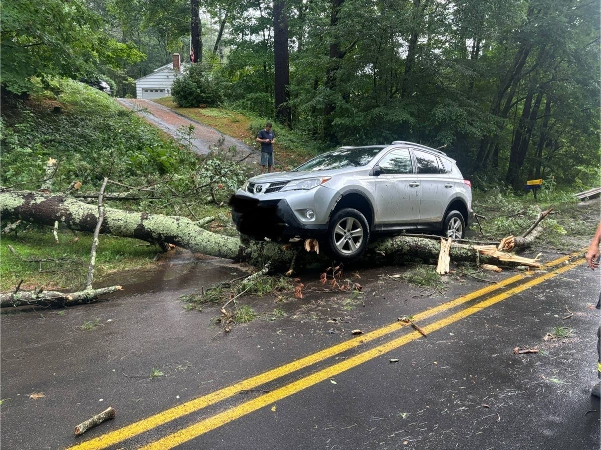 An SUV wound up over a tree on a Stormy Sunday in Tolland. 