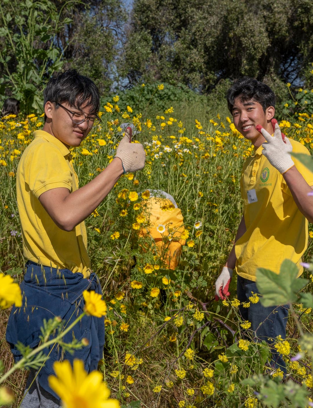 Palos Verdes Peninsula Land Conservancy Outdoor Volunteer Day at White Point Nature Preserve 