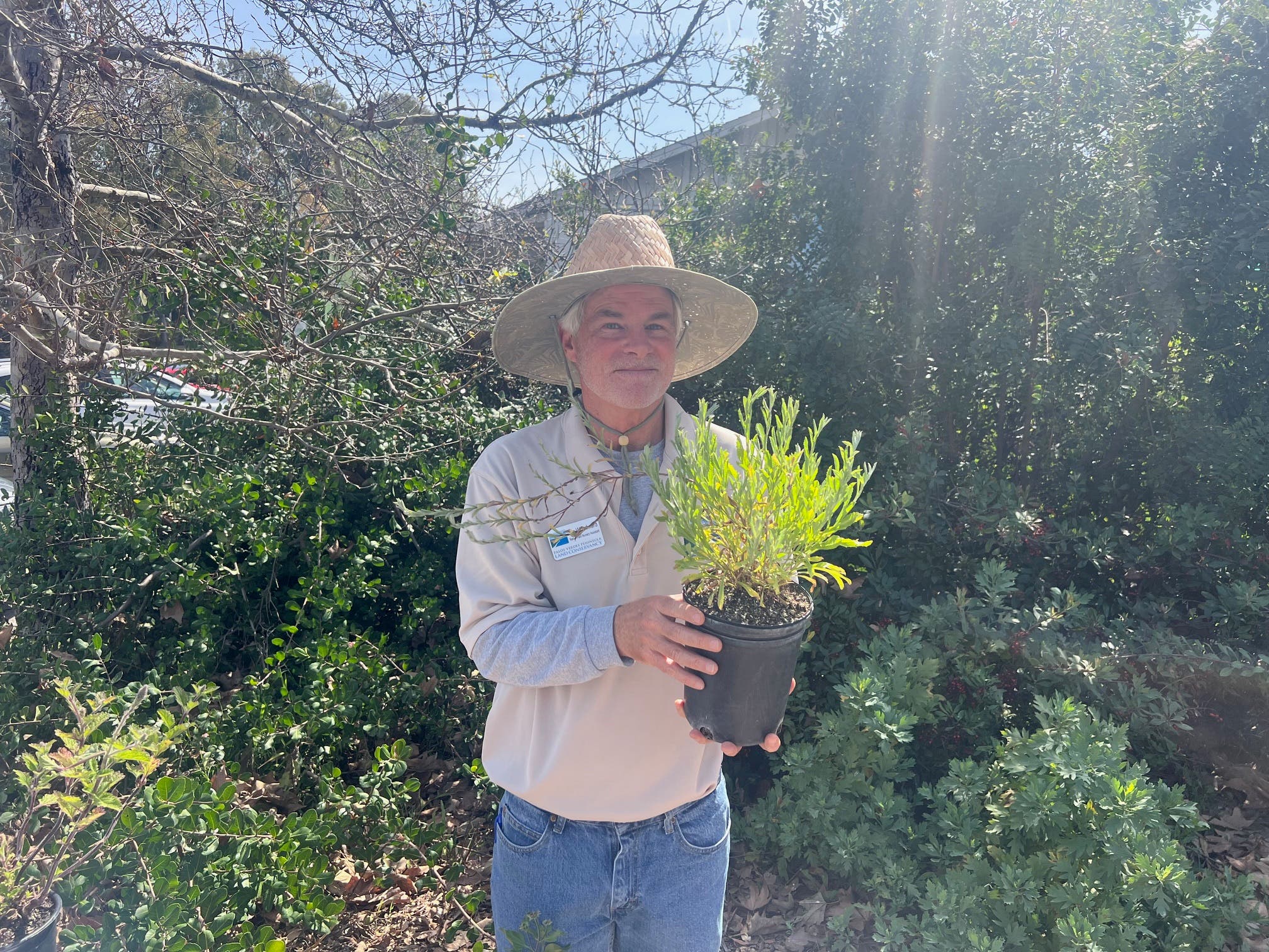 Native Plant Sale by the Palos Verdes Peninsula Land Conservancy