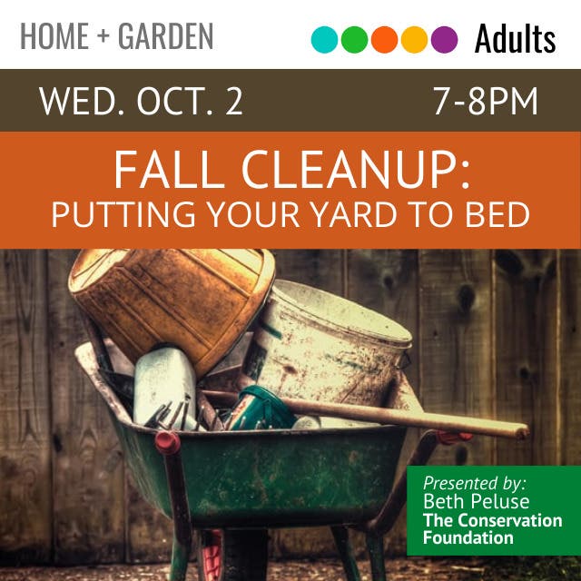 Fall Cleanup: Putting Your Yard to Bed