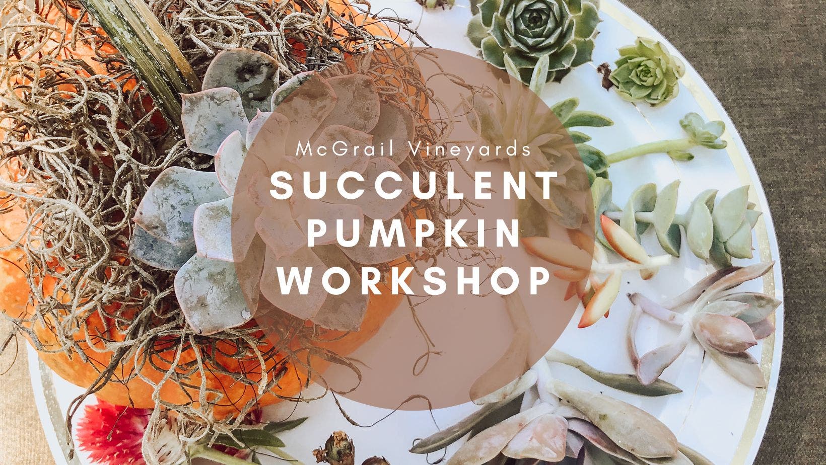 Succulent Pumpkin Workshop