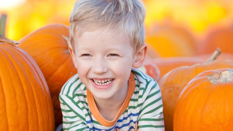 Pumpkin Festival at Charmingfare Farm