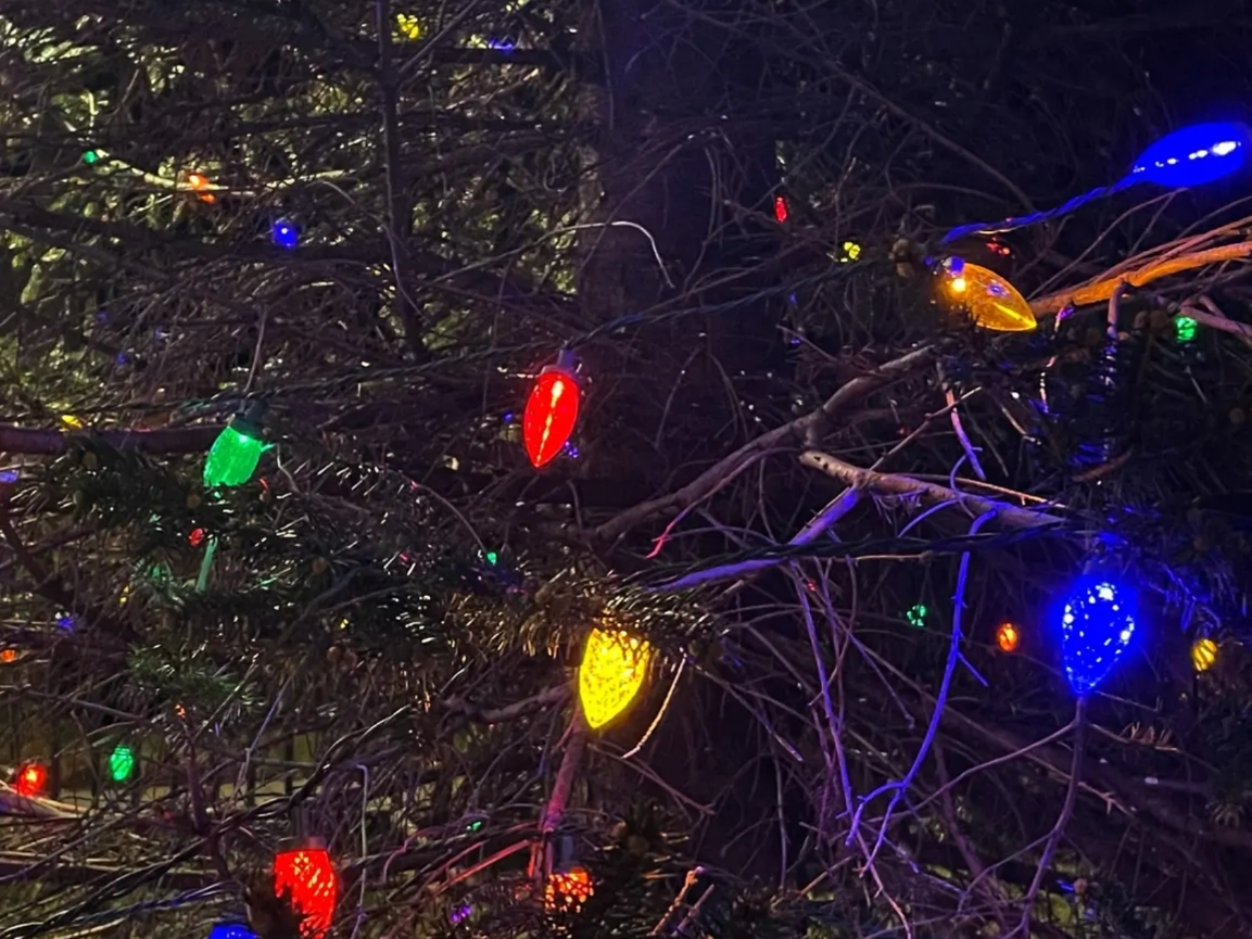 Which holiday lights displays around Southampton are your favorites?