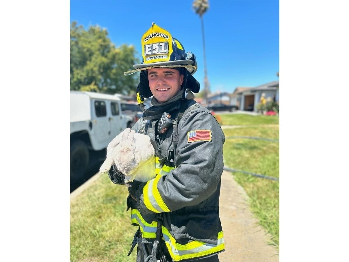 Tinkerbell the bunny poses with a Fremont firefighter.